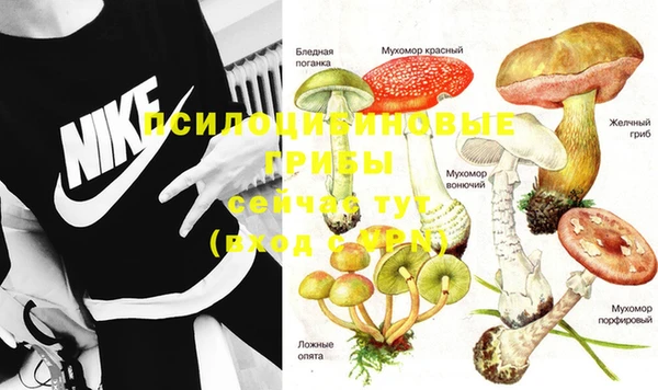 таблы Алексеевка