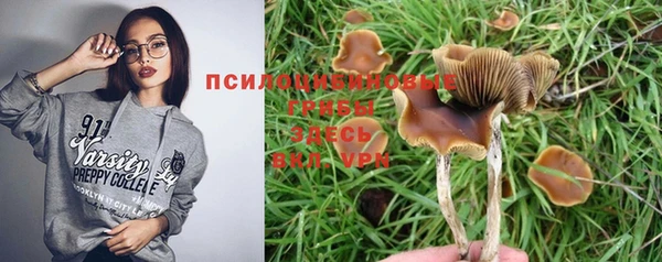 таблы Алексеевка